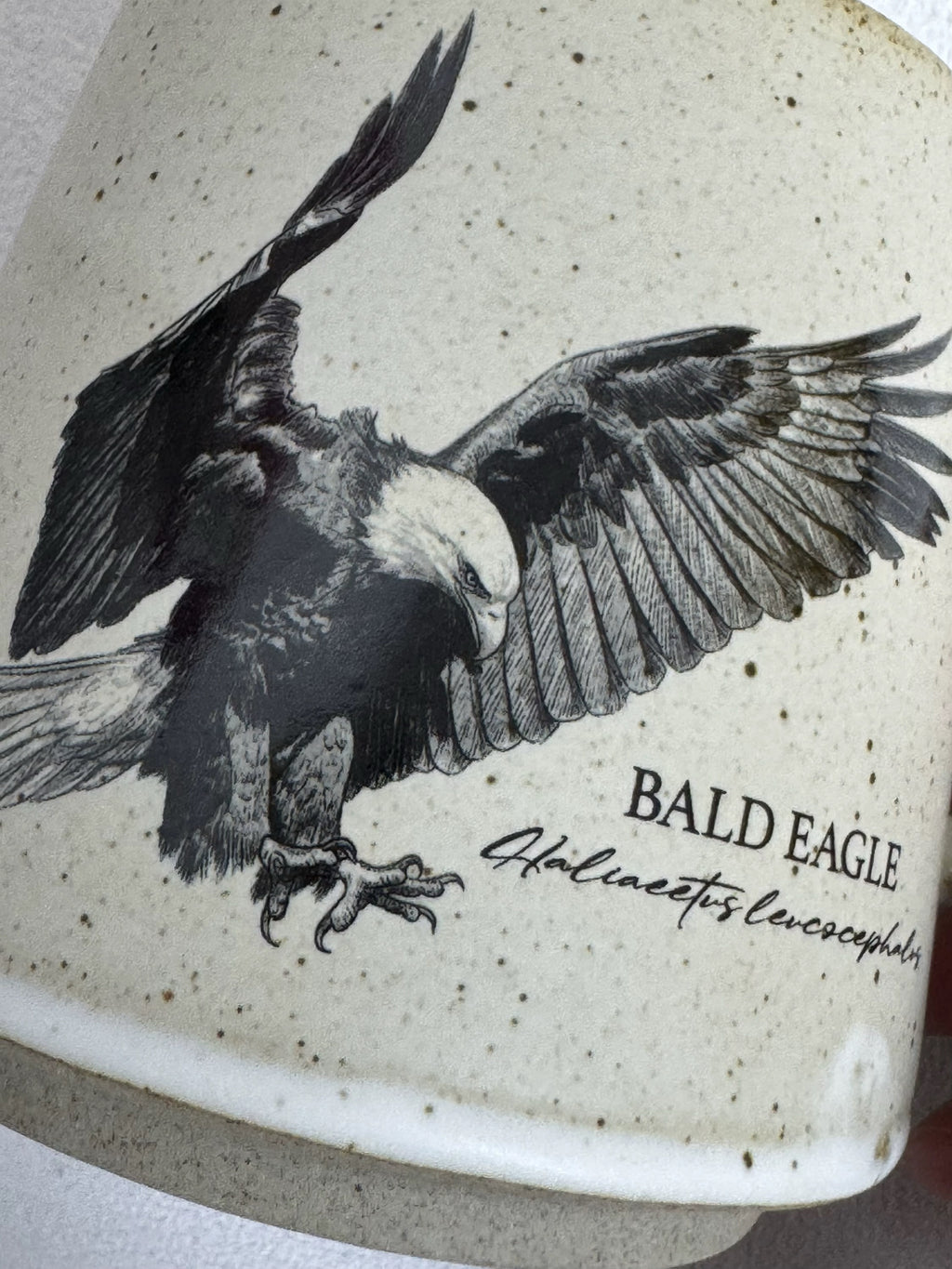 Bald Eagle Premium Stoneware Coffee Mug (Preorder)