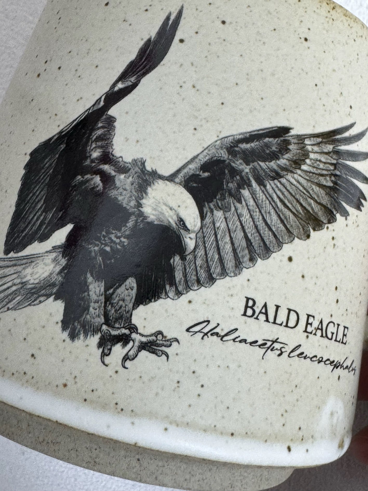 Bald Eagle Premium Stoneware Coffee Mug (Preorder)